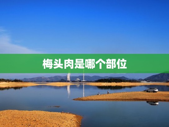 梅头肉是哪个部位