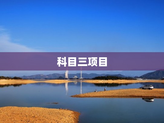 科目三项目