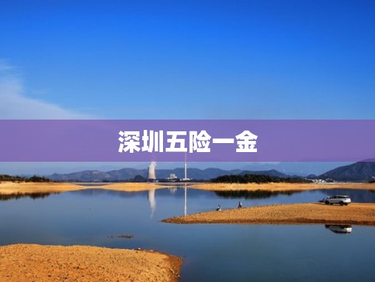 深圳五险一金