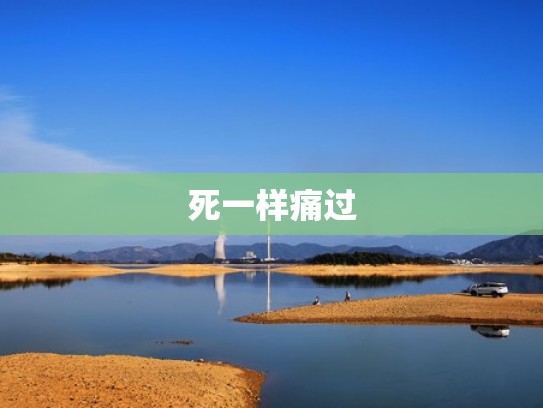 死一样痛过
