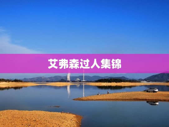 艾弗森过人集锦