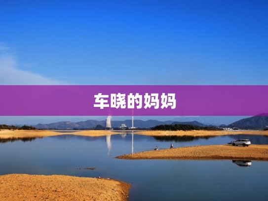 车晓的妈妈