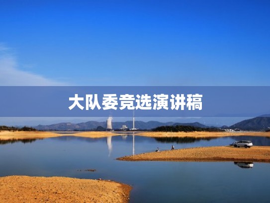 大队委竞选演讲稿