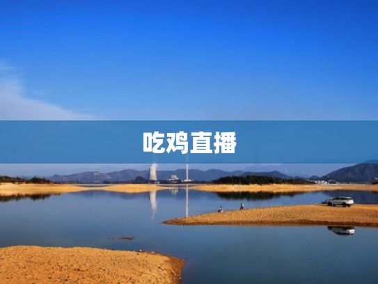吃鸡直播