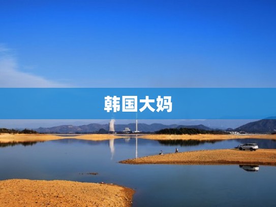 韩国大妈
