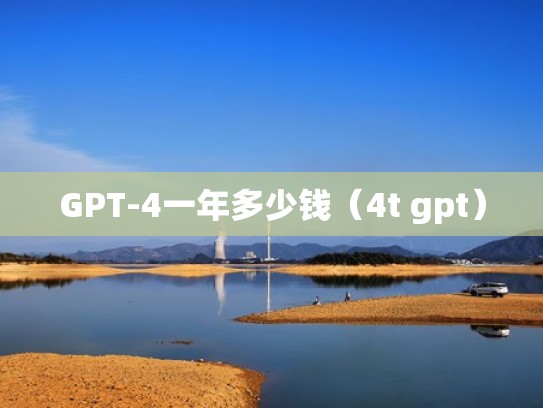 GPT-4一年多少钱（4t gpt）