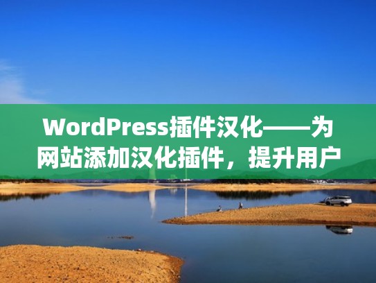 WordPress插件汉化——为网站添加汉化插件，提升用户体验（wordpress语言切换插件）