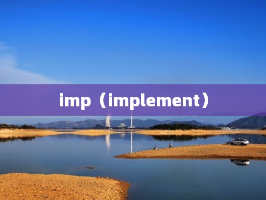 imp（implement）