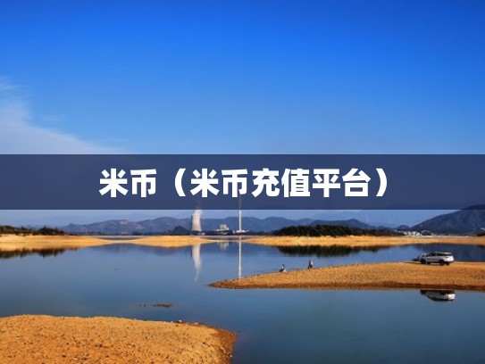米币(米币充值平台) 米币(米币充值平台)