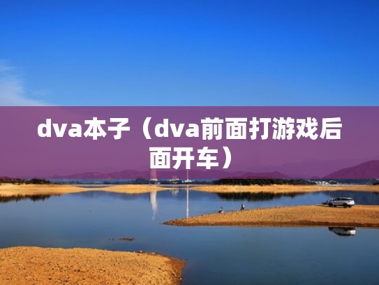 dva本子（dva前面打游戏后面开车）