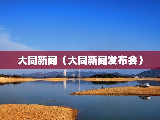 大同新闻（大同新闻发布会）
