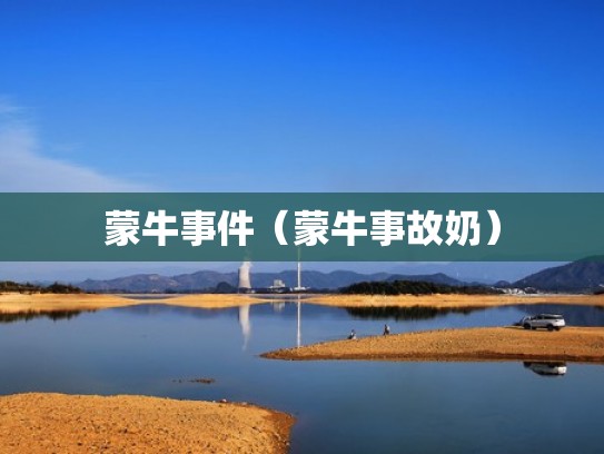 蒙牛事件（蒙牛事故奶）