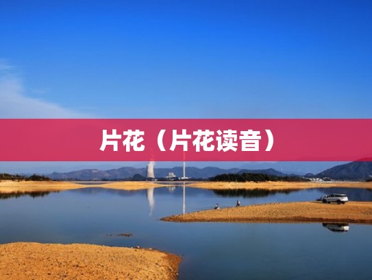 片花（片花读音）