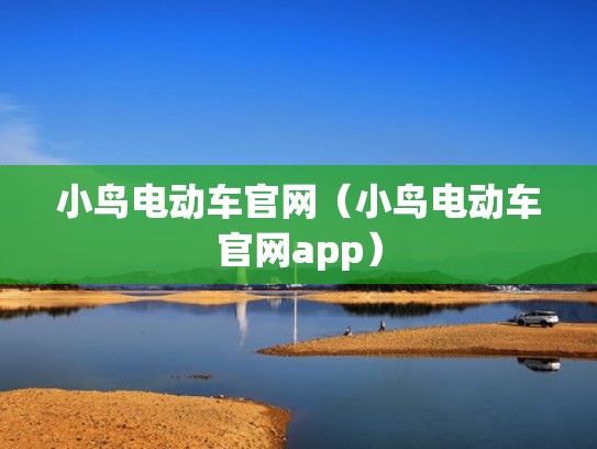 小鸟电动车官网（小鸟电动车官网app）