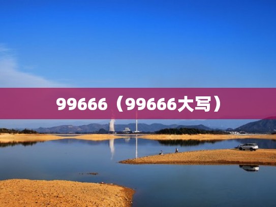 99666（99666大写）