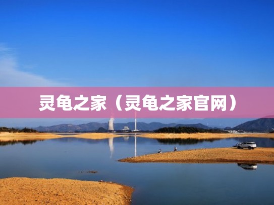 灵龟之家（灵龟之家官网）