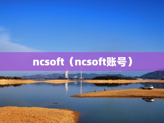 ncsoft（ncsoft账号）