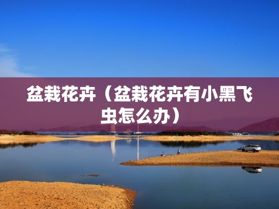 盆栽花卉（盆栽花卉有小黑飞虫怎么办）