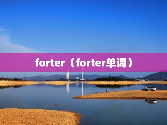 forter（forter单词）
