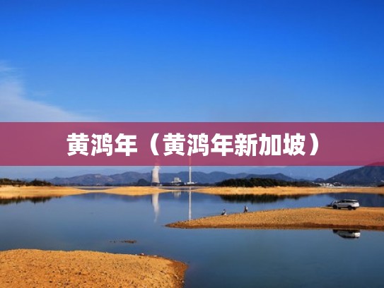 黄鸿年（黄鸿年新加坡）