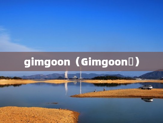 gimgoon（Gimgoon‌）