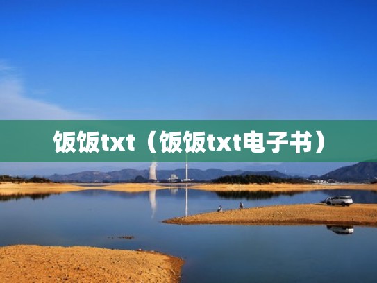 饭饭txt（饭饭txt电子书）