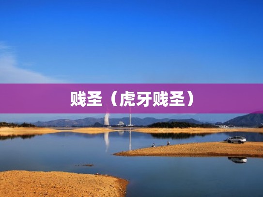 贱圣（虎牙贱圣）