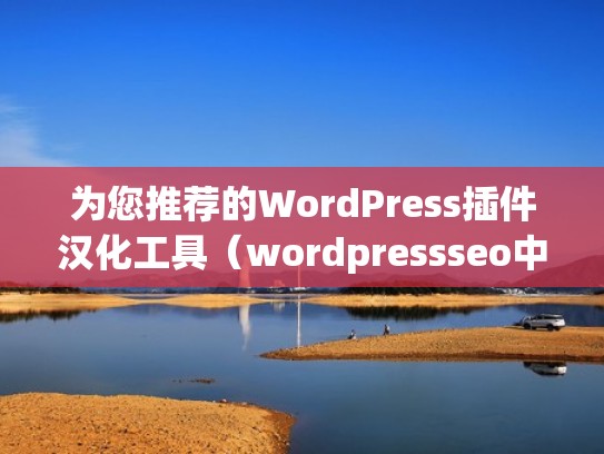 为您推荐的WordPress插件汉化工具（wordpressseo中文插件）