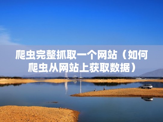 爬虫完整抓取一个网站（如何爬虫从网站上获取数据）