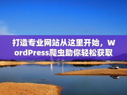打造专业网站从这里开始，WordPress爬虫助你轻松获取数据（如何爬取网站数据代码）