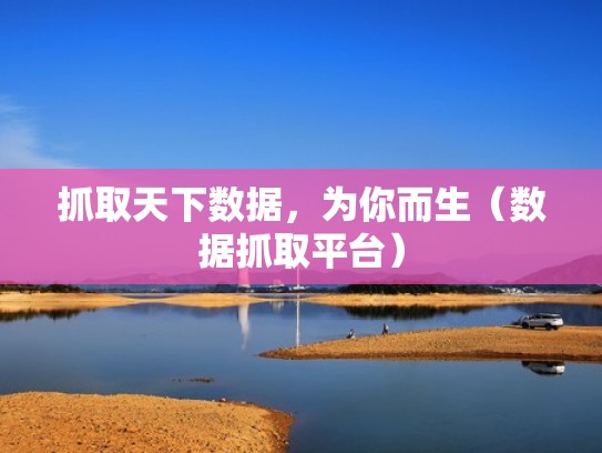 抓取天下数据,为你而生(数据抓取平台) 抓取天下数据,为你而生(数据抓取平台)