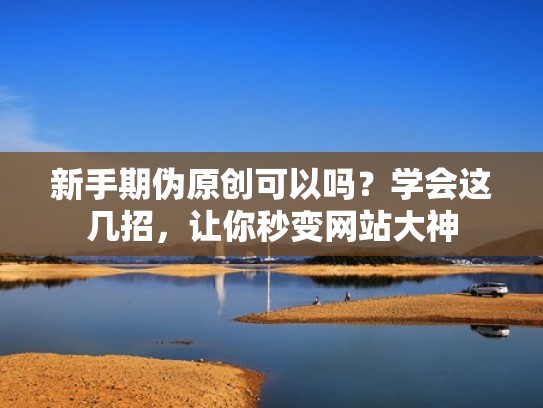 新手期伪原创可以吗？学会这几招，让你秒变网站大神