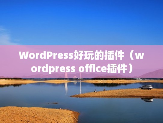 WordPress好玩的插件（wordpress office插件）