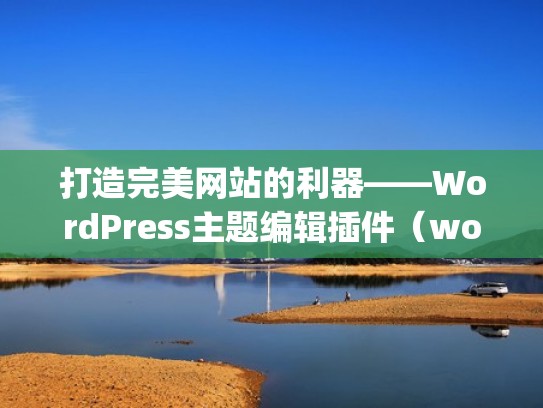 打造完美网站的利器——WordPress主题编辑插件（wordpress主题设计）