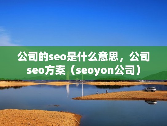 公司的seo是什么意思，公司seo方案（seoyon公司）