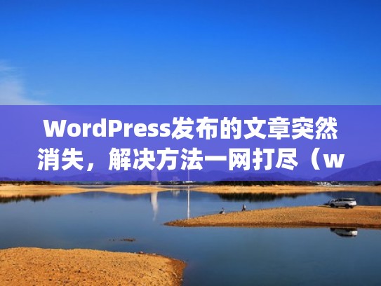 WordPress发布的文章突然消失，解决方法一网打尽（wordpress怎么发文）