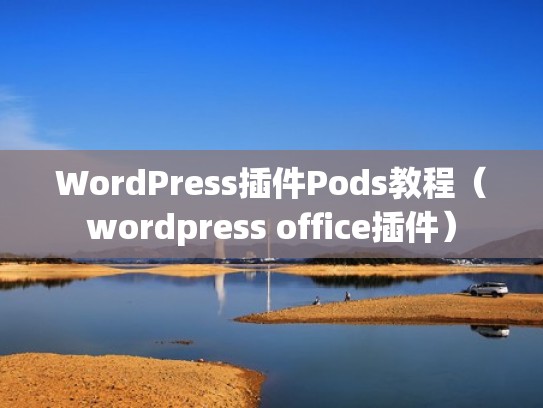 WordPress插件Pods教程（wordpress office插件）
