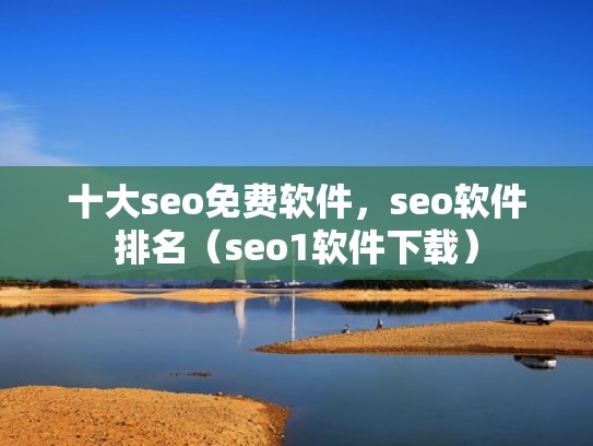 十大seo免费软件，seo软件排名（seo1软件下载）