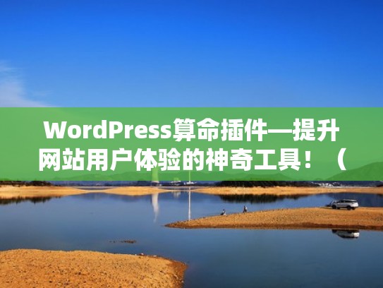 WordPress算命插件—提升网站用户体验的神奇工具！（算命网站模板出售）