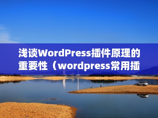 浅谈WordPress插件原理的重要性（wordpress常用插件）