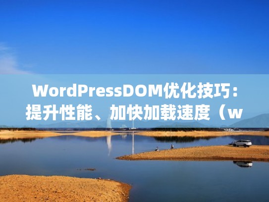 WordPressDOM优化技巧：提升性能、加快加载速度（wordpress 提速）
