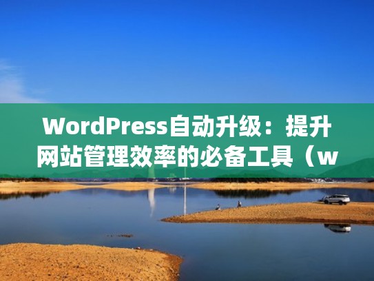 WordPress自动升级：提升网站管理效率的必备工具（wordpress 自动生成文章）