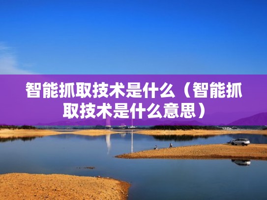 智能抓取技术是什么（智能抓取技术是什么意思）