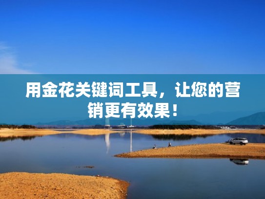 用金花关键词工具，让您的营销更有效果！
