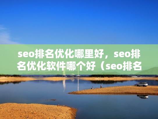 seo排名优化哪里好，seo排名优化软件哪个好（seo排名优化的网站）