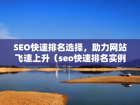 SEO快速排名选择，助力网站飞速上升（seo快速排名实例）