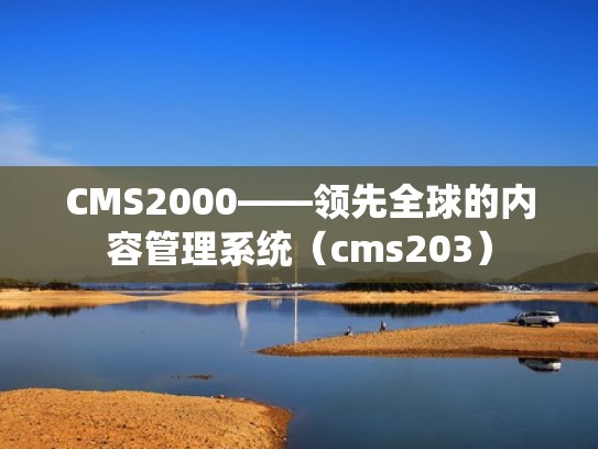CMS2000——领先全球的内容管理系统（cms203）