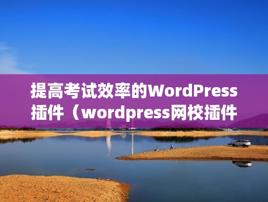 提高考试效率的WordPress插件（wordpress网校插件）