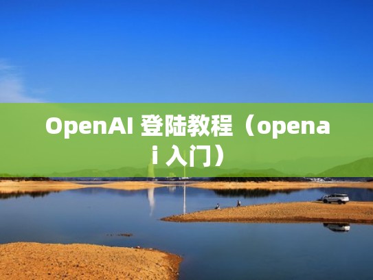 OpenAI 登陆教程（openai 入门）