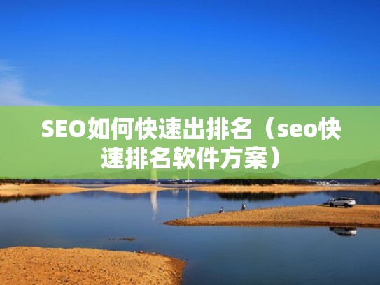 SEO如何快速出排名（seo快速排名软件方案）